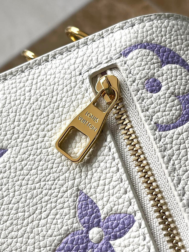 LV bag
